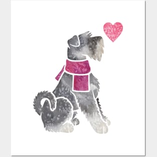 Watercolour Standard Schnauzer Posters and Art